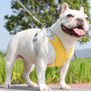 Kit Coleira Peitoral & Guia Pet